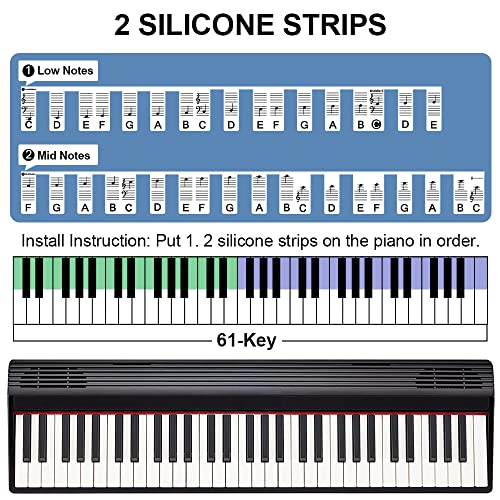 61 Key Piano Keyboard Note Labels for Homeschoolers