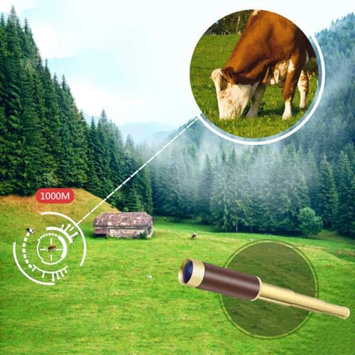 Pirate Spyglass Telescope Treasure Map Compass Kids Set