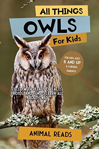 Kids' Owl Facts, Photos, and Fun Educational Resource