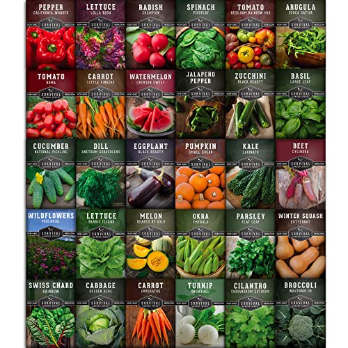 30-Pack Non-GMO Heirloom Seeds for Home Garden