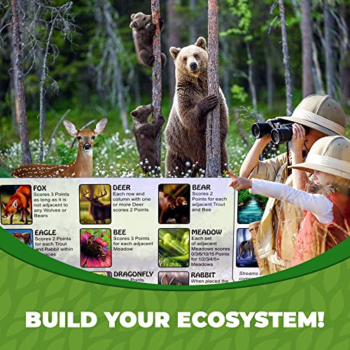 Family Ecosystem Card Game for Kids and Adults