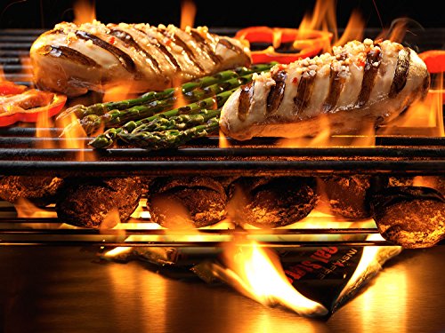 Insta-Fire Charcoal Starter Bundle for Camping & Emergency