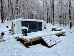 20ft Prefab Tiny House Backyard Office Pod