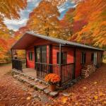 2-Bedroom Prefab Tiny House with Full Kitchen