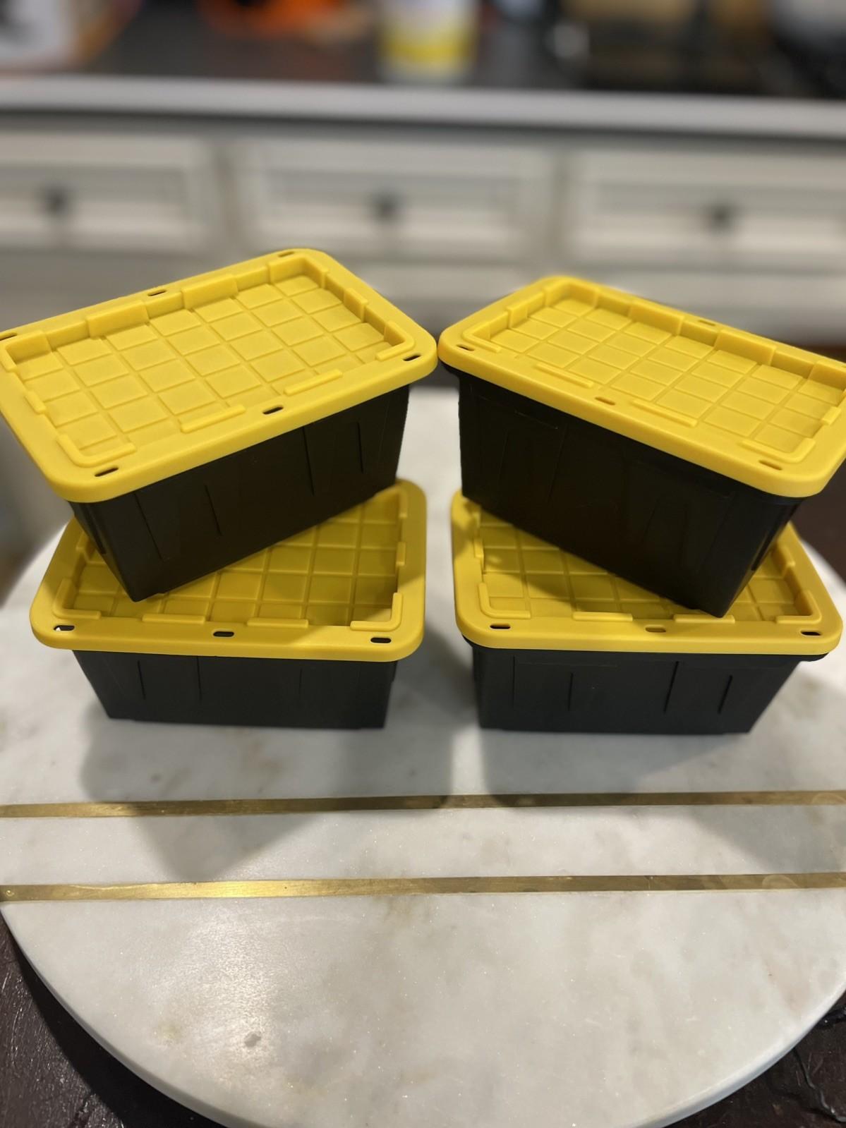 Set of 4 Teeny Tiny Tote Storage Containers