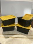 Set of 4 Teeny Tiny Tote Storage Containers