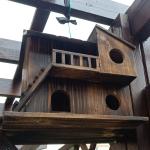 Wooden Bird Nesting Box for Squirrel Safety