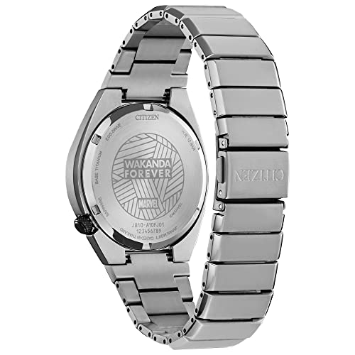 Citizen Men's Eco-Drive Black Panther Watch in Titanium