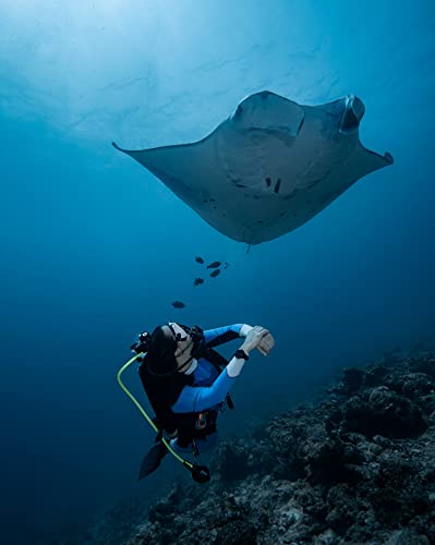 Garmin Descent Mk2S Dive Computer Watch Bundle - Carbon Gray DLC/Black