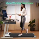 YAGUD 2-in-1 Portable Under Desk Walking Pad