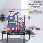DARCHEN 450 lbs Mini Trampoline for Indoor Workouts