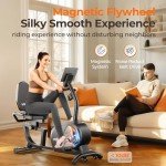 YOSUDA Adjustable Recumbent Exercise Bike for Home