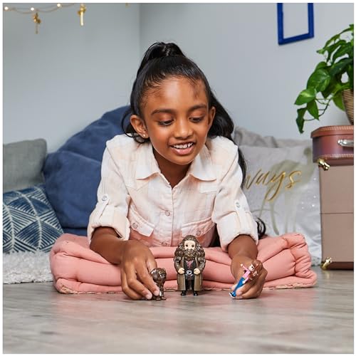 Harry Potter Magical Minis Friendship Set with Creature