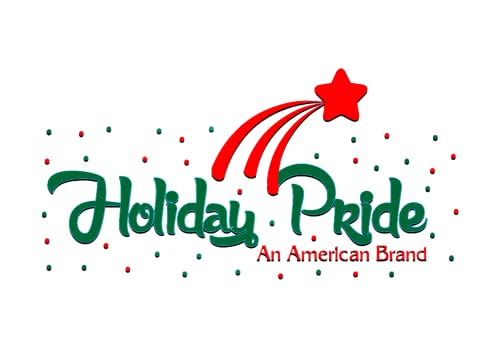 Festive 100-Count Warm White Christmas Tree Lights