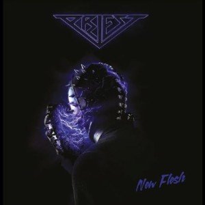 Flesh: Exploring Music from Vinyl to Digital