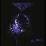 Flesh: Exploring Music from Vinyl to Digital