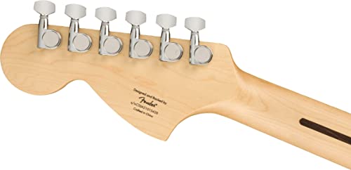 Fender Squier Affinity Stratocaster - Limited Edition Black, Bundle with Frontman 10G Amplifier, Gig Bag, Cable, Tuner, Strap, Picks, and Austin Bazaar Instructional DVD