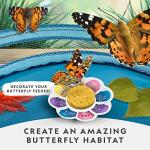 NATIONAL GEOGRAPHIC Caterpillar Growing Kit - Butterfly Habitat with Voucher for 5 Caterpillars, Cage, and Feeder (Amazon Exclusive)