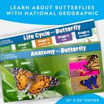 NATIONAL GEOGRAPHIC Caterpillar Growing Kit - Butterfly Habitat with Voucher for 5 Caterpillars, Cage, and Feeder (Amazon Exclusive)