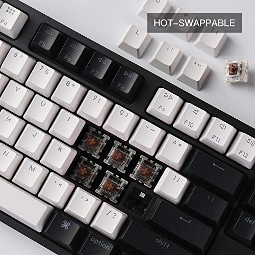 Keychron C1 Hot-swappable Wired TKL Keyboard, Gateron G Pro Brown