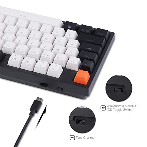 Keychron C1 Hot-swappable Wired TKL Keyboard, Gateron G Pro Brown