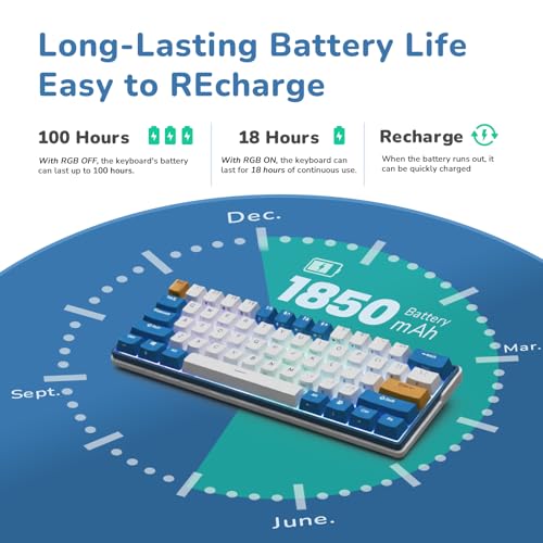 RK61 Plus Wireless Mechanical Keyboard, RGB Gaming 60%