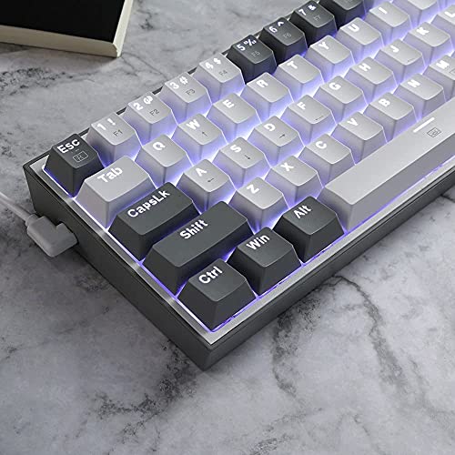 Redragon K617 Fizz 60% RGB Mechanical Gaming Keyboard