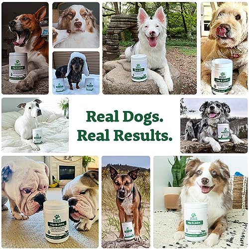 Premium Dog Joint Supplement with 120 Chews