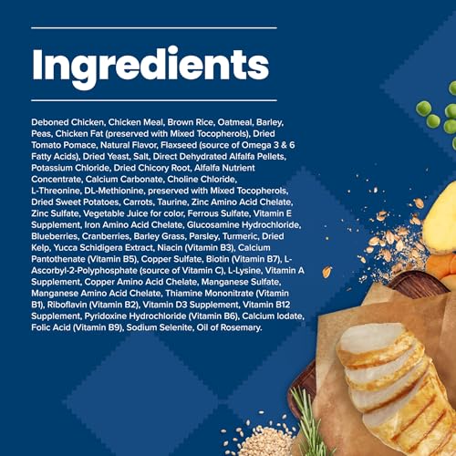 Blue Buffalo Chicken & Brown Rice Dog Food - 5lb