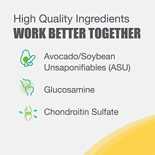 Joint Health Supplement for Large Dogs - Nutramax Dasuquin