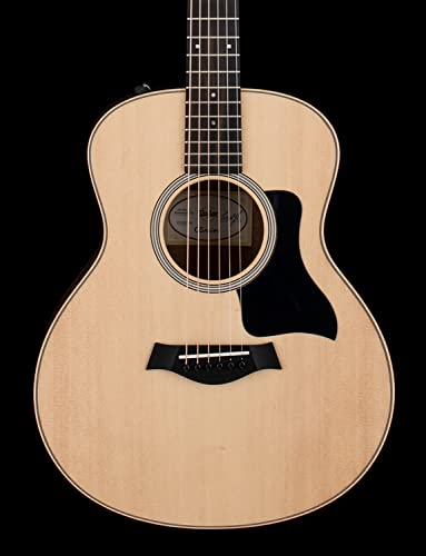 Taylor GS Mini-e Rosewood Gloss Top with Aerocase