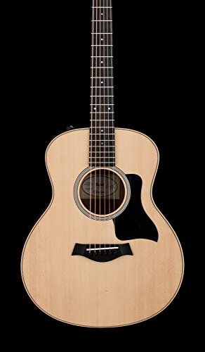 Taylor GS Mini-e Rosewood Gloss Top with Aerocase