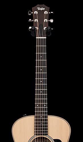 Taylor GS Mini-e Rosewood Gloss Top with Aerocase