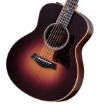 Taylor GS Mini-e Rosewood 50th Anniversary Special Edition