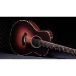 Taylor GS Mini-e Rosewood 50th Anniversary Special Edition
