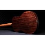 Taylor GS Mini-e Rosewood 50th Anniversary Special Edition