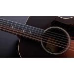 Taylor GS Mini-e Rosewood 50th Anniversary Special Edition