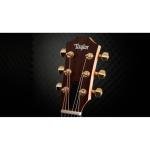 Taylor GS Mini-e Rosewood 50th Anniversary Special Edition