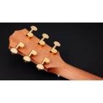 Taylor GS Mini-e Rosewood 50th Anniversary Special Edition