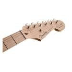 Fender Eric Clapton Stratocaster - Maple Fretboard (Black)