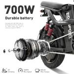 DDC SPORT Folding Electric Bike with 700W Motor
