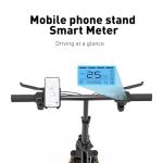 DDC SPORT Folding Electric Bike with 700W Motor