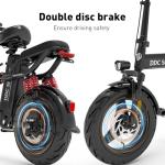 DDC SPORT Folding Electric Bike with 700W Motor