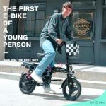 DDC SPORT Folding Electric Bike with 700W Motor