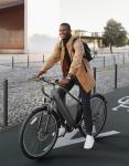 Powerful 1000W Electric Bike for Adults, Light Grey
