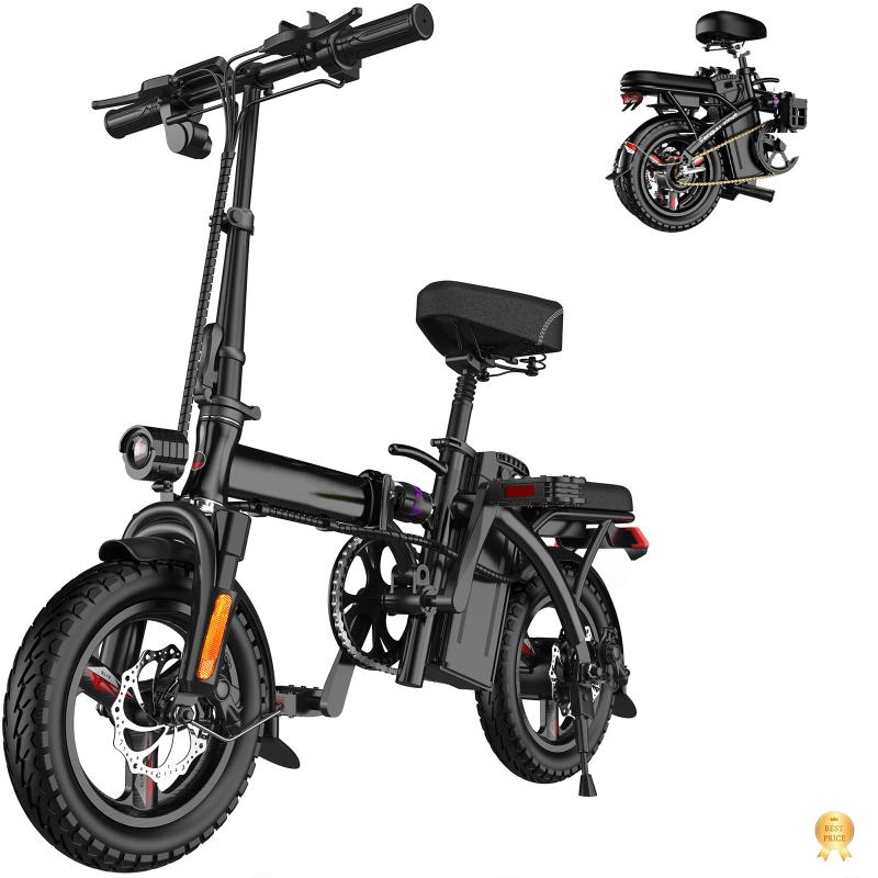 Fat Tire eBikes