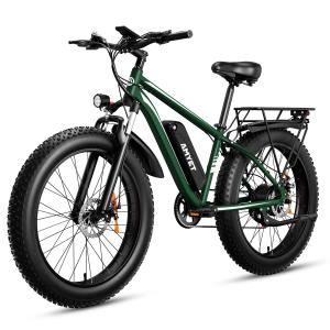 1000W 48V Fat Tire Electric Mountain Bike