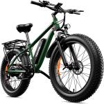1000W 48V Fat Tire Electric Mountain Bike