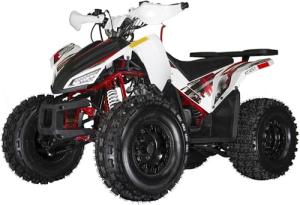 Coleman Powersports AT125Y Youth Gas ATV