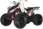 Coleman Powersports AT125Y Youth Gas ATV